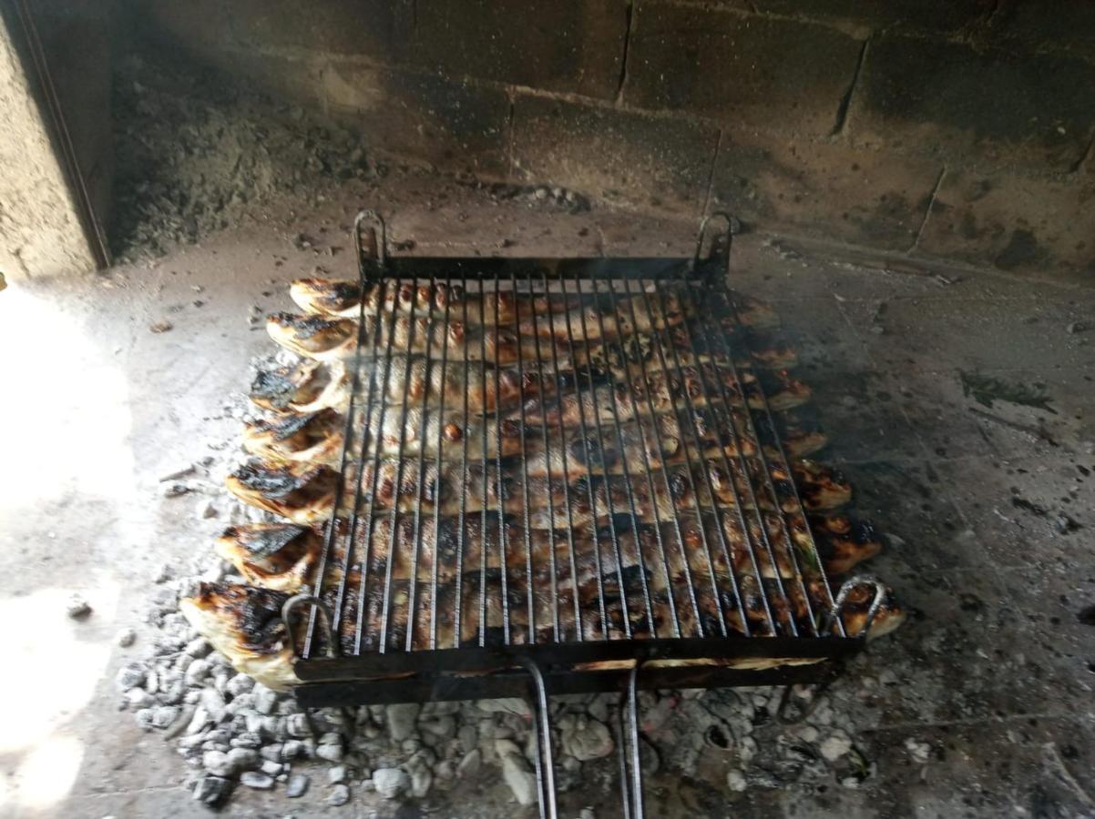 Antos Put Gaja, Split Apartman Kültér fotó
